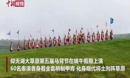高铁动态：450米主跨斜拉桥主塔完工，通苏嘉甬直连通道