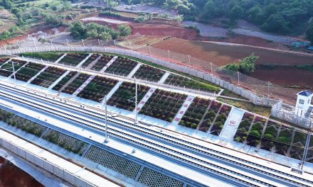 渝昆高铁云贵段10公里示范段建成，标准化经验出炉