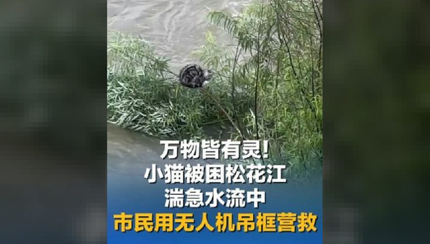 塞尔维亚红酒首次通过中欧班列进入河北